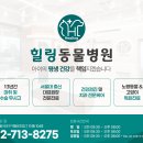 더힐링동물병원