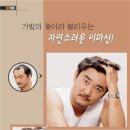 모디스가발