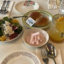 한국고양이혈액센터 이미지