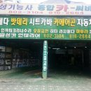 일성카센타 이미지