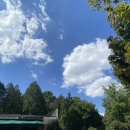 양재시민의숲 공원 테니스장 이미지