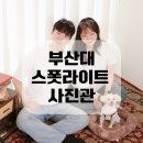 부산대 사진관 스폿라이트 애견동반 후기