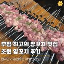 엄지척양갈비&양꼬치 | 부평역 초원양꼬치, 양갈비 먹으러 또 가고 싶은 부평동 맛집
