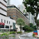 베아채스위트 정문 옆 화단 | 호텔 투숙기 - 싱가포르 에디션 (1) 객실 The Singapore EDITION