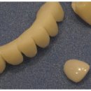 서울퍼펙트치과의원 이미지