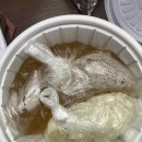 오백국수 이미지