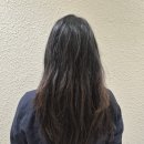 상동다짐 | 상동 미용실 살롱더샹델 부천 상동점 두발, 모발 퍼펙트 클리닉 후기