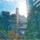 서울번동초등학교 이미지