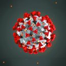 코로나 이미지