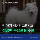 정강동물병원 이미지