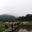 20170819 금산 성봉 12폭포 계곡산행 후기 이미지