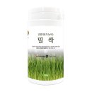 푸레 이미지