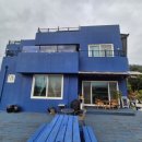 풀꽃마중 이미지