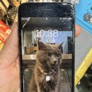 NR-7[중앙대로]-상-5 | 부산 아이폰7 액정수리 정품으로 교체 완료한 후기