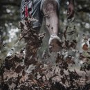 숲속의포차 이미지