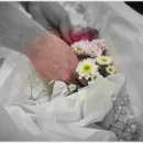 양산부산대학교병원 이미지