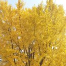 영창로163번길 이미지