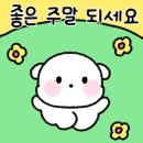 캠핑스토리