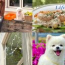 해운대로774번길 이미지