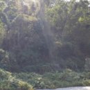 상동1 태양광발전소 이미지