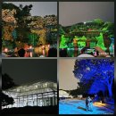 세운교통(주) | 창경궁 물빛연화 야간개장｜시간 예약 예매 없이 아이랑 마감시간 전 주차·관람 성공 후기 + 기본정보