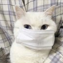 🌻 내 행복 인 에릭 🌻 “still awake but gonna sleep already!” 이미지