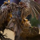 얼음골로 이미지