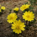 기운농장 이미지