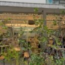 삼덕애견 이미지