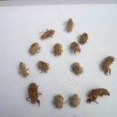 의림어린이집 이미지