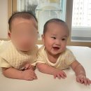 수곡로3번길(2-164) | [육아기록] ~5개월 | 분태기 제대로 온 짱꾸미 낭낭한 찌후의 일상