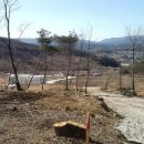 동영개발 이미지