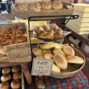 5076 | 을지로 충무로 감성카페 추천 ‘아소토베이커리’ 메론빵 웨이팅 후기