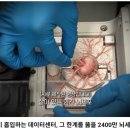 아우야! 아우와 내가 게으름을 피우거나 실수를 할 경우에 대해 대비할 필요는 없는가? 이미지