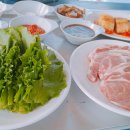 초록빛언덕글램핑 이미지