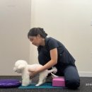 윤은채 재활 한방 동물병원 이미지