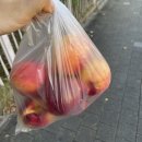 경성꽈배기화양점 이미지