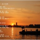 달꽃 이미지