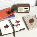 나만의 에코 북커버 만들기 이미지