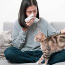 알레르기 이미지