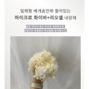 웅이워니 쿡스토어 | 내 돈 내산 리뷰) 꿀 잠 무중력 기절 베개 몽드와 (메시)-구입 후기