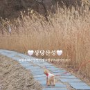 산성애견 | 청주애견동반여행 상당산성 산책 후기