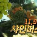 이마트 양주점 이미지