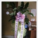 주의동산교회 이미지