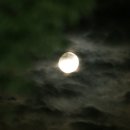 사랑방손님 이미지