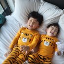 카펠라스파펜션 이미지