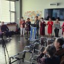 들국화악단 이미지