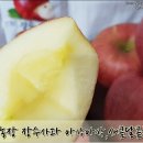 웅이농장 이미지