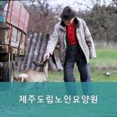 제주도립노인요양원 네이버블로그