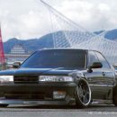 캠바이오 이미지